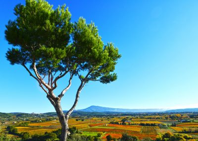 Le mont Ventoux et l'Arc comtadin, Provence (réf. P151)