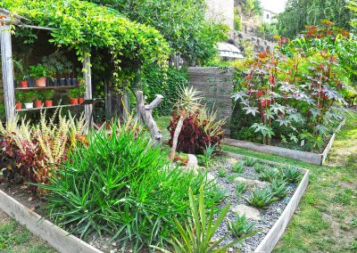 Jardin conservatoire des plantes tinctoriales - Lauris, Provence (réf. P239)