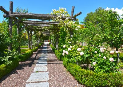 Jardin de la Basse Fontaine, Puyméras, Provence (réf. P238)