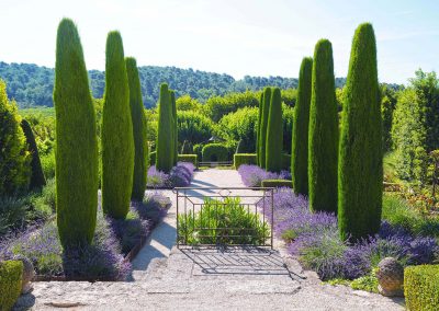 Jardin du château Val Joanis, Pertuis, Provence (réf. P233)