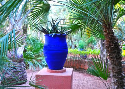 Jardin Majorelle, Marrakech, Maroc (réf. M181)