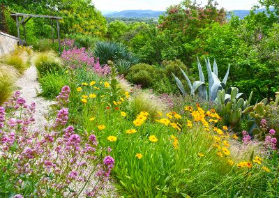 Jardin conservatoire des plantes tinctoriales, Lauris, Provence (réf. P234)