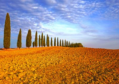 Val d'Orcia, Toscane, Italie (réf. M278)
